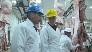 Washington Grown Inside a Beef Slaughter Facility [upl. by Okier]