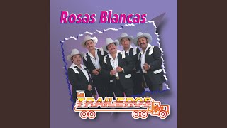 Rosas Blancas [upl. by Hanan]