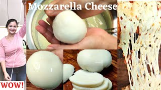 How to make Mozzarella Cheese at home  Homemade Mozzarella Cheese  Mozzarella  Cheese Recipes [upl. by Martinsen755]