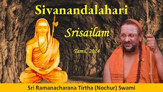 13 Sivanandalahari  Srisailam Satsang  Tamil  Oct 2024 [upl. by Alexandro]