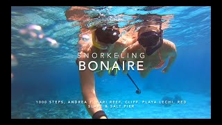 Snorkeling Bonaire [upl. by Ludewig]