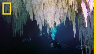 Explore the Worlds Largest Underwater Cave  National Geographic [upl. by Dnomyar141]