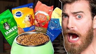 Whats The Best Dog Food Taste Test [upl. by Yrram]