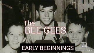 The Bee Gees Early Beginnings [upl. by Anib]