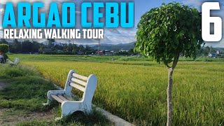 ARGAO CEBU  RELAXING WALKING TOUR [upl. by Aicinet357]