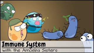 Immune System [upl. by Melisa237]