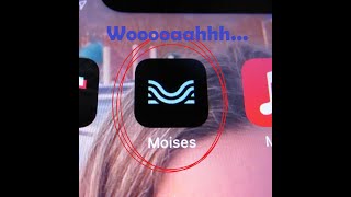 Moises App Review  Amazing New Tool For Musicians This Is How You Do Covers From Now On [upl. by Lyman130]