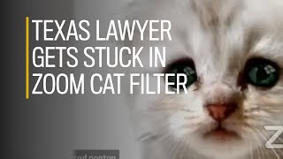 Texas lawyer gets stuck in Zoom cat filter [upl. by Ettenotna]