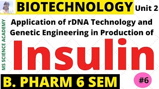 HormoneInsulinApplication of rDNA Techn and Genetic Enginin Produc of 6 SemBiotechnologyL 6 [upl. by Buddy553]