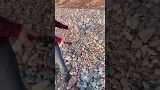 Looking for Yooperlite rocks at Lake Ontario At Sterling Nature Center New York [upl. by Kulsrud]