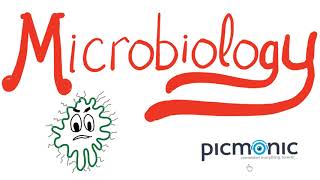 Mycobacterium Leprae for the USMLE Step 1 [upl. by Kletter502]