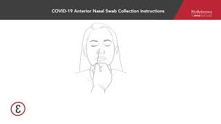 How to Collect a Nasopharyngeal NP Swab Specimen [upl. by Warfold429]