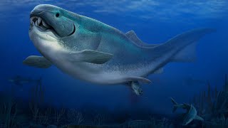 What Happened To The Dunkleosteus [upl. by Cotterell]