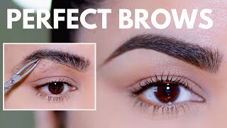 HOW TO GROOM SHAPE amp MAINTAIN EYEBROWS AT HOME BEGINNER FRIENDLY [upl. by Matthei]