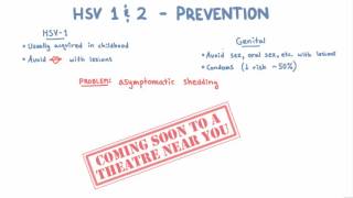 HSV 1 and 2 Prevention [upl. by Vel]