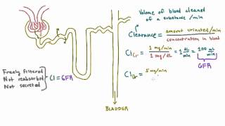 Calculating Clearance  Example Calculations [upl. by Annahaj]