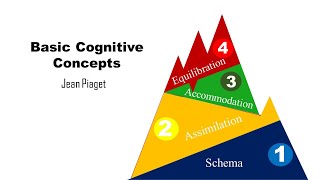 Basic Cognitive Concepts Schema Assimilation Accommodation Equilibration [upl. by Nedap]