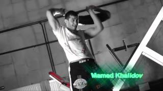 Mamed Khalidov Best Highlights [upl. by Narual]