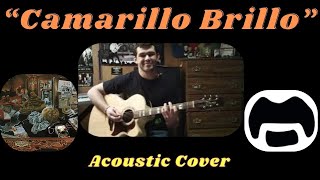 quotCamarillo Brilloquot acoustic  Frank Zappa cover [upl. by Hgielhsa394]