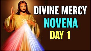 Divine Mercy Novena amp Chaplet Day 1 [upl. by Aldis11]