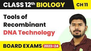 Tools of Recombinant DNA Technology Biotechnology Principles amp Processes  Class 12 Biology 202223 [upl. by Colly476]