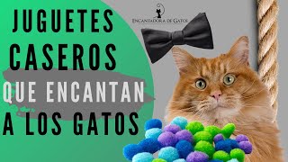 JUGUETES CASEROS PARA GATOS buenos bonitos y baratos  Encantadora de Gatos [upl. by Tol]