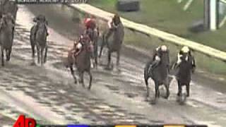 Raw Video Names Make for Hilarious Horse Race [upl. by Okiam]