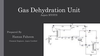 Natural Gas Dehydration Unit with TEG  Aspen HYSYS [upl. by Iah169]