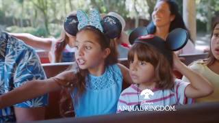 Walt Disney World 4 Park Magic Ticket  TV Commercial 2016 [upl. by Ennyleuqcaj]