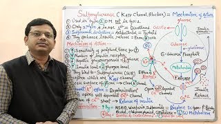 Diabetes Mellitus Part10 Mechanism of Action of Sulfonylurease  Antidiabetic Drugs  Diabetes [upl. by Uhsoj675]