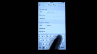 iPhone 6 Internet APN Settings [upl. by Grounds432]