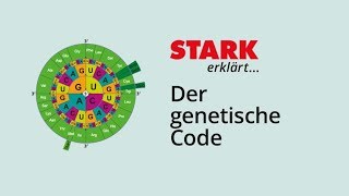 Der Genetische Code  STARK erklärt [upl. by Hsirrehc440]