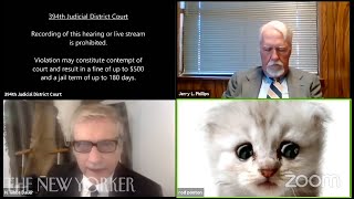 That Zoom Call with the LawyerCat Explained  The New Yorker [upl. by Santoro]