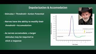 Introduction to Electrical Stimulation [upl. by Noerb]