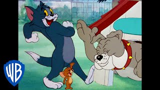 Tom y Jerry en Español  La noche divertida  WB Kids [upl. by Kempe]