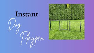 FXW Instant Dog Playpen Review [upl. by Leonhard]