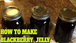 BLACKBERRY JELLY  STEP BY STEP  EASY…DELICIOUS RECIPE [upl. by Jegger264]