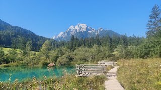 Lake Zelenci  4K [upl. by Eiltan]