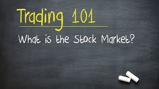 Trading 101 What is the Stock Market [upl. by Eeryt]