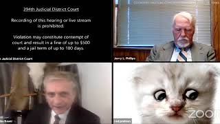 Texas attorney accidentally leaves cat filter on during Zoom call  ABC7 [upl. by Lud]