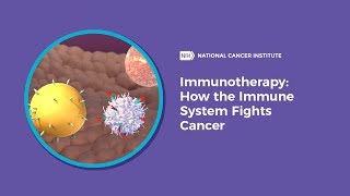 Immunotherapy How the Immune System Fights Cancer [upl. by Rosenblatt509]