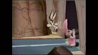 Energizer Bunny and Wile E Coyote Commercial 1994 [upl. by Afas]