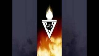 VNV Nation  Legion [upl. by Ojahtnamas666]