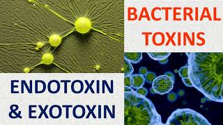 Bacterial toxins Endotoxin amp Exotoxin [upl. by Fanchan]