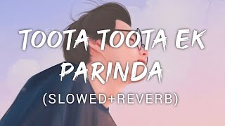 Toota Toota Ek Parinda  Kailash kher  Music Lyrics [upl. by Tobin]