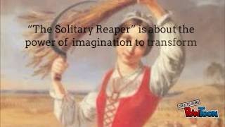 The Solitary Reaper BY WILLIAM WORDSWORTH CBSE Line by line explanation of the poem [upl. by Zoeller478]