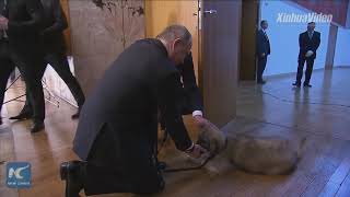 Puppy love Vladimir Putin gets new pooch from Serbian president [upl. by Wilkie878]