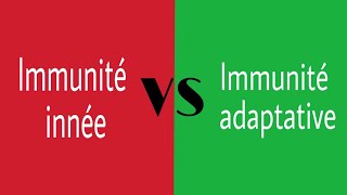 📍Immunité innée et Adaptative [upl. by Bonnes]