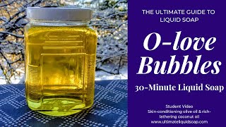 DIY Easy 30Minute Liquid Soap  Recipe Included  The Ultimate Guide to Liquid So [upl. by Kissiah545]