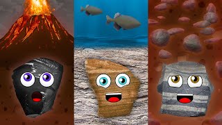 3 Types of Rocks and The Rock Cycle [upl. by Naujal834]